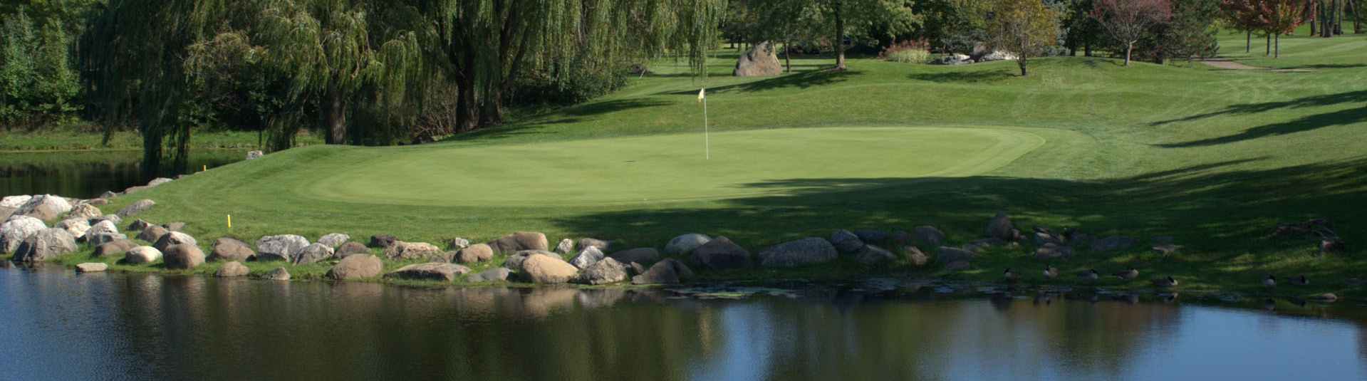 view of golf course green